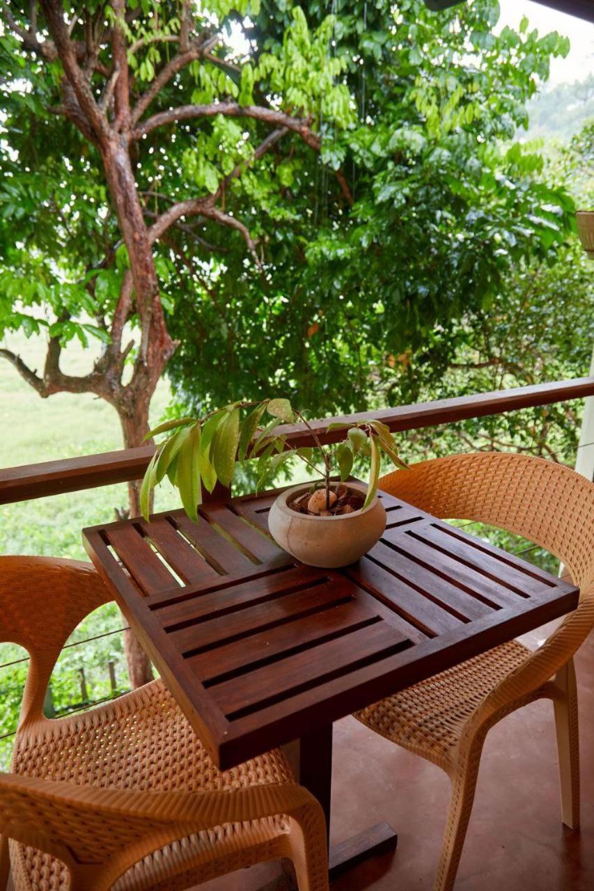 Green View Homestay กอลล์ ภายนอก รูปภาพ